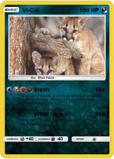 Pokemon Vi-Cat
