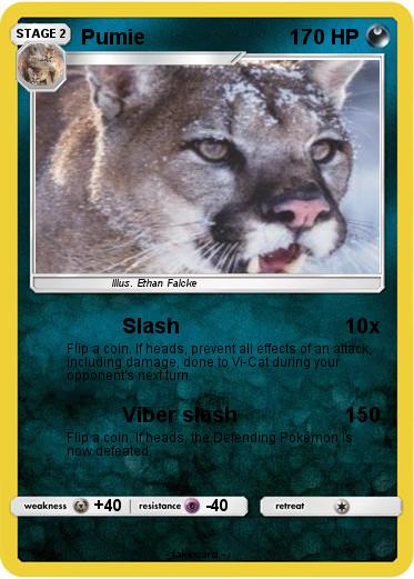 Pokemon Pumie