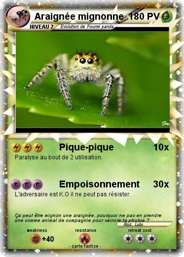 Pokemon Araignée mignonne