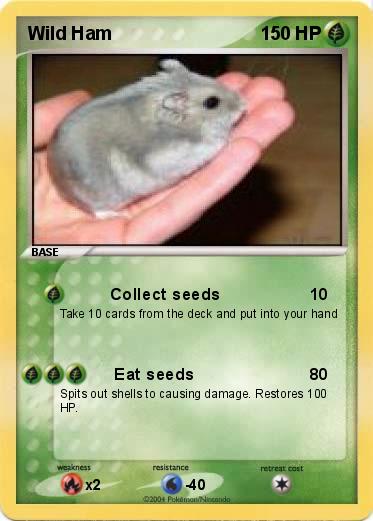 Pokemon Wild Ham