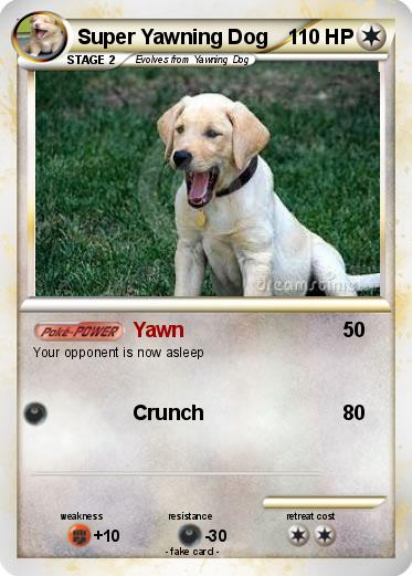 Pokemon Super Yawning Dog