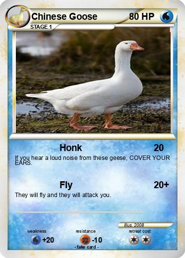 Pokemon Chinese Goose