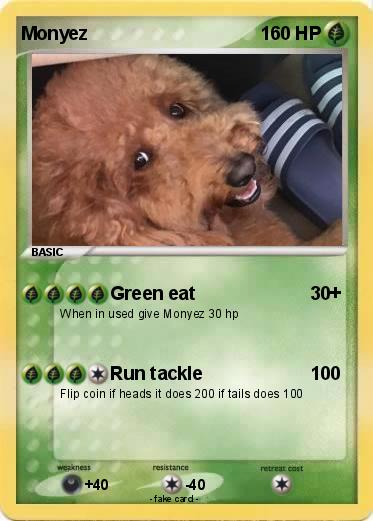 Pokemon Monyez