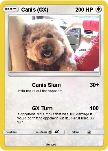 Pokemon Canis (GX)