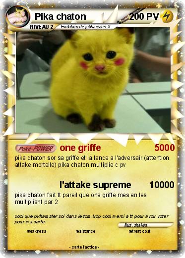 Pokemon Pika chaton