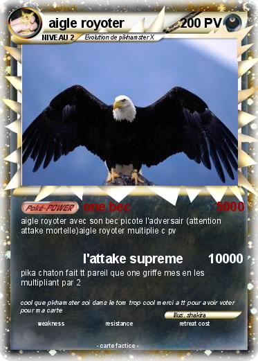 Pokemon aigle royoter