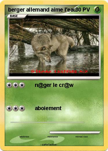 Pokemon berger allemand aime l'eau
