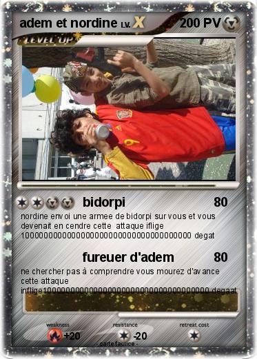 Pokemon adem et nordine