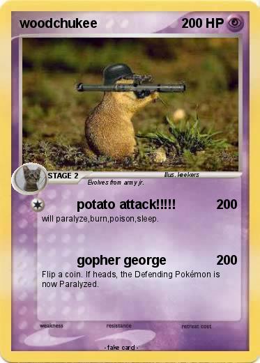 Pokemon woodchukee
