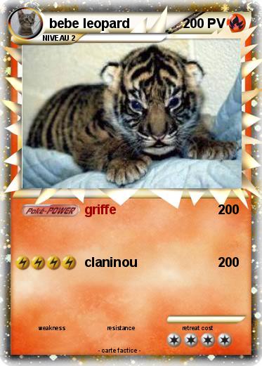 Pokemon bebe leopard