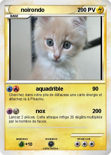 Pokemon noirondo