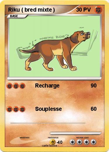Pokemon Riku ( bred mixte )