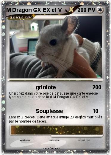 Pokemon M Dragon GX EX et V