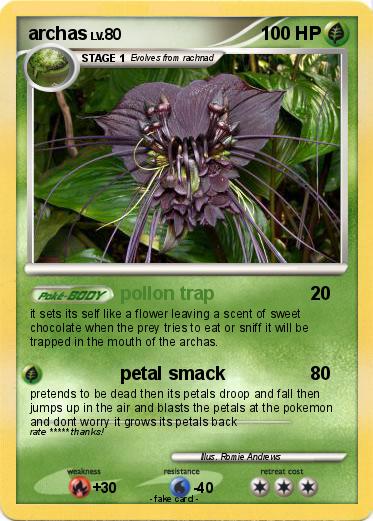 Pokemon archas