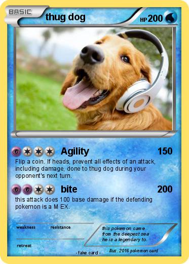 Pokemon thug dog