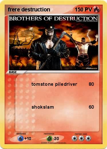 Pokemon frere destruction