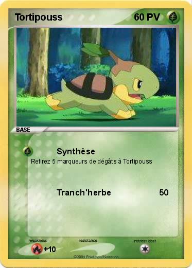 Pokemon Tortipouss