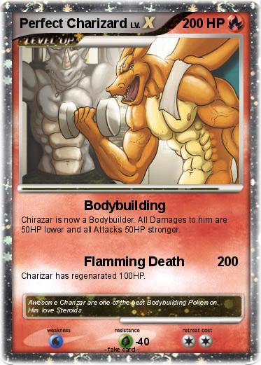 Pokemon Perfect Charizard