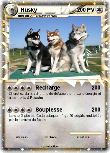 Pokemon Husky