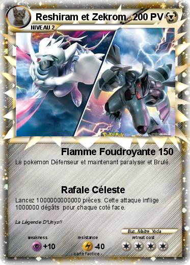 Pokemon Reshiram et Zekrom