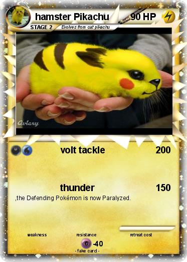 Pokemon hamster Pikachu