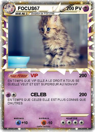 Pokemon FOCUS67