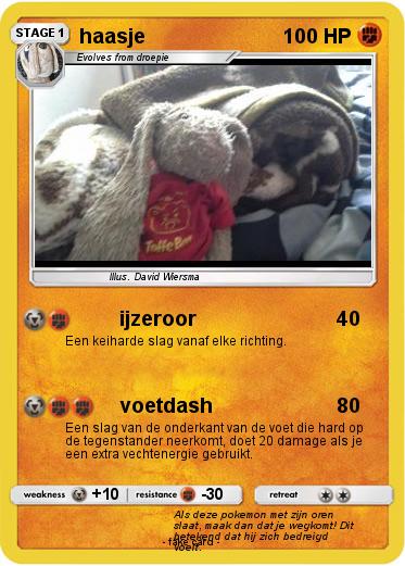 Pokemon haasje