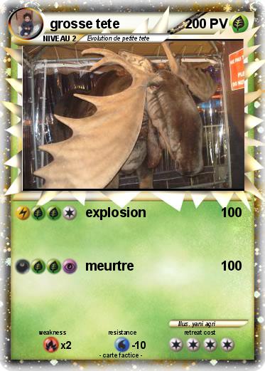 Pokemon grosse tete