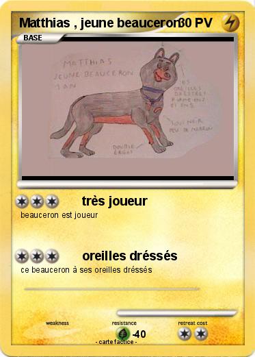 Pokemon Matthias , jeune beauceron