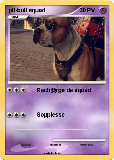 Pokemon pit-bull squad