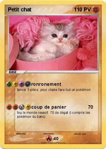 Pokemon Petit chat