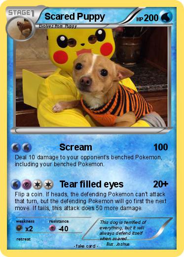 Pokemon Scared Puppy