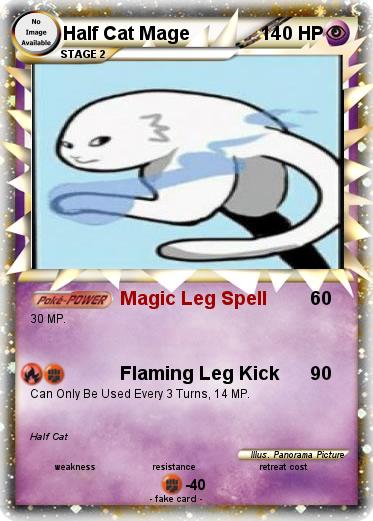 Pokemon Half Cat Mage