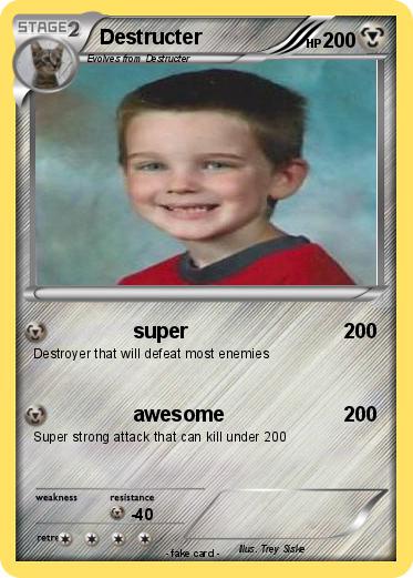 Pokemon Destructer