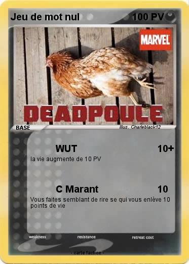 Pokemon Jeu de mot nul