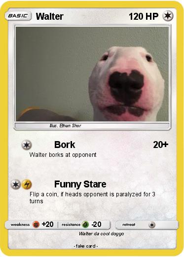 Pokemon Walter