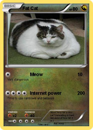 Pokemon Fat Cat