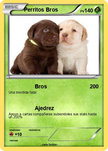 Pokemon Perritos Bros