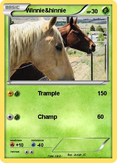 Pokemon Winnie&hinnie