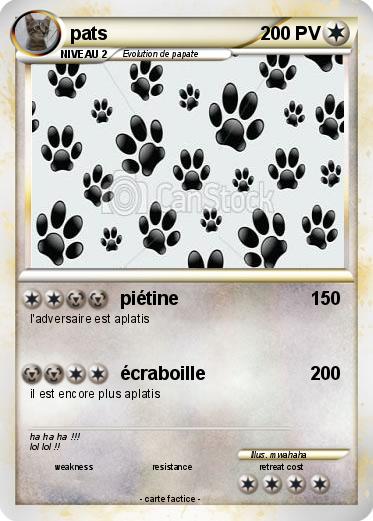 Pokemon pats