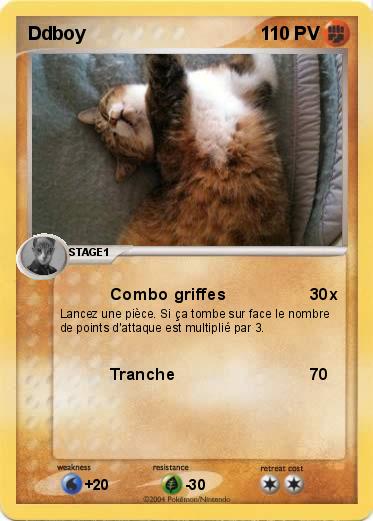 Pokemon Ddboy