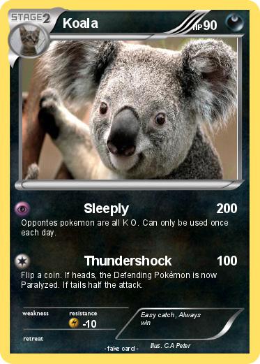 Pokemon Koala