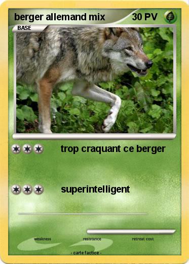 Pokemon berger allemand mix