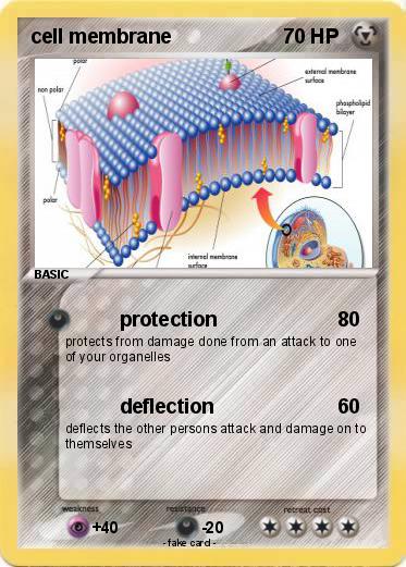 Pokemon cell membrane