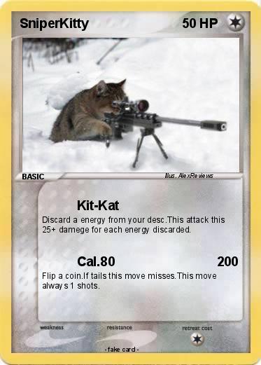 Pokemon SniperKitty
