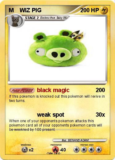 Pokemon M    WIZ PIG