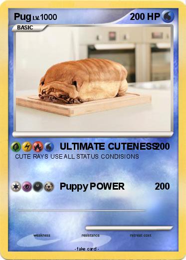 Pokemon Pug