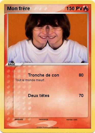 Pokemon Mon frère