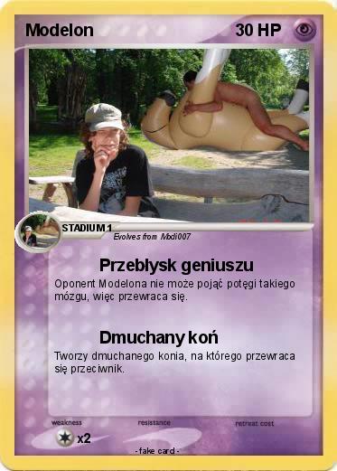 Pokemon Modelon