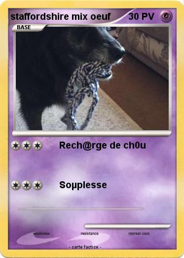Pokemon staffordshire mix oeuf